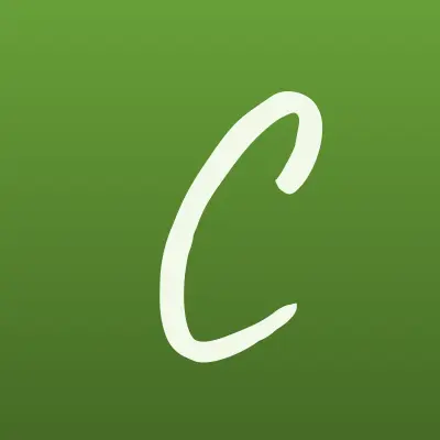 CONTACT, система денежных переводов, лого-визитка