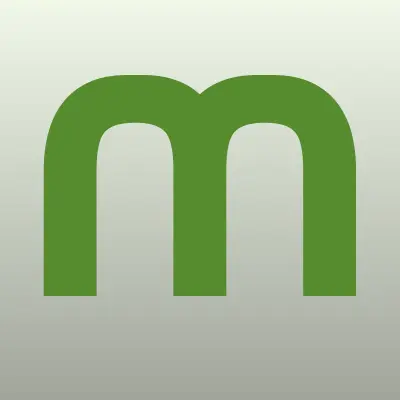 МегаСервис, клининговая компания, лого-визитка