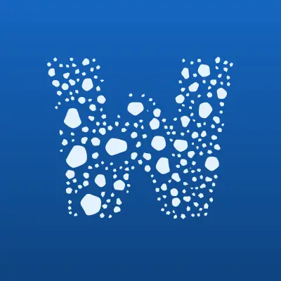 White Tiger Soft, компания по разработке мобильных приложений, лого-визитка